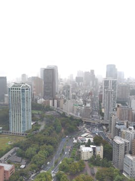 東京タワーに投稿された画像（2025/10/12）