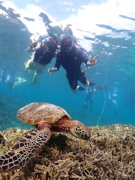 Nami宮古島に投稿された画像（2025/10/12）