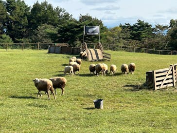 那須どうぶつ王国に投稿された画像（2025/10/12）