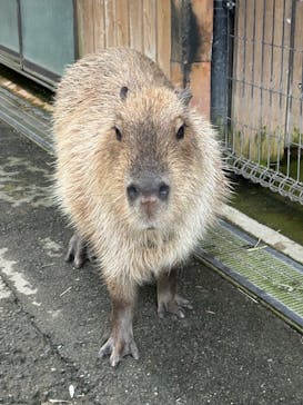 那須どうぶつ王国に投稿された画像（2025/10/12）