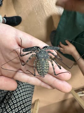 いきもの探検隊上尾に投稿された画像（2025/10/12）