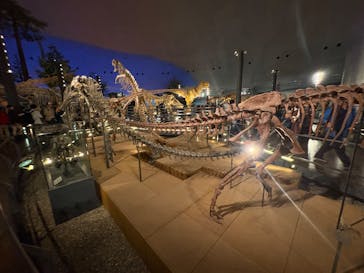 福井県立恐竜博物館に投稿された画像（2025/10/12）