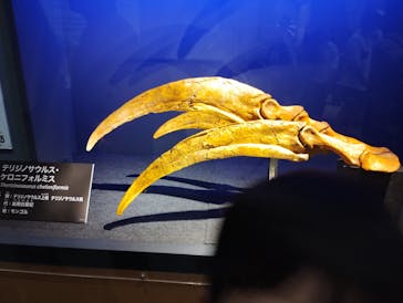 福井県立恐竜博物館に投稿された画像（2025/10/12）