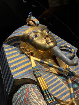 MYSTERY OF TUTANKHAMEN 体感型古代エジプト展に投稿された画像（2025/10/12）