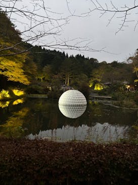 神戸六甲ミーツ・アート2025 beyondに投稿された画像（2025/10/12）