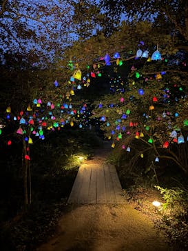 神戸六甲ミーツ・アート2025 beyondに投稿された画像（2025/10/12）