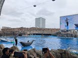 名古屋港水族館に投稿された画像（2025/10/12）