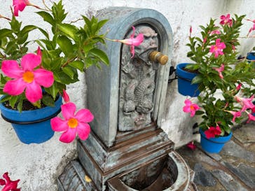 志摩スペイン村パルケエスパーニャに投稿された画像（2025/10/12）