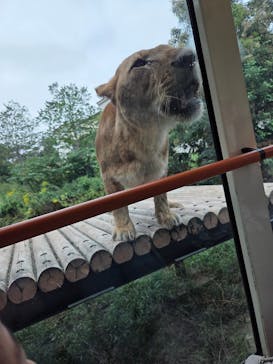 東京動物園協会_多摩動物公園に投稿された画像（2025/10/12）
