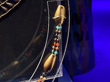 ACN ラムセス大王展 ファラオたちの黄金に投稿された画像（2025/10/12）