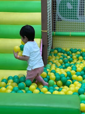ザキッズ イトーヨーカドー川崎店に投稿された画像（2025/10/12）