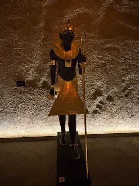 MYSTERY OF TUTANKHAMEN 体感型古代エジプト展に投稿された画像（2025/10/12）