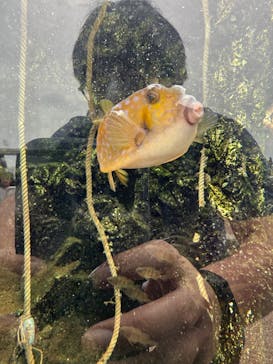 アクアワールド茨城県大洗水族館に投稿された画像（2025/10/12）