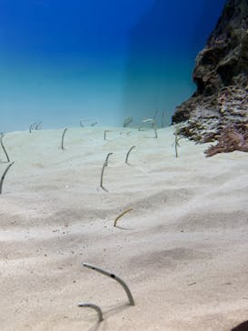 アクアワールド茨城県大洗水族館に投稿された画像（2025/10/12）