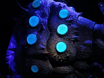 金曜ロードショーとジブリ展（静岡展）に投稿された画像（2025/10/12）