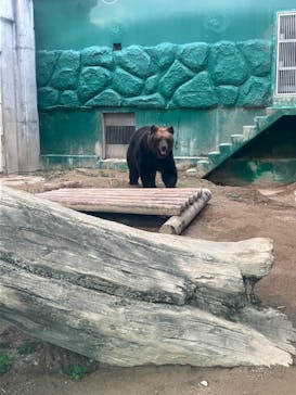 東武動物公園に投稿された画像（2025/10/12）