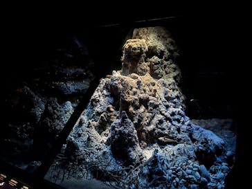 名古屋港水族館に投稿された画像（2025/10/12）