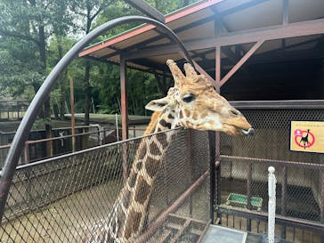 ANIMAL WONDER REZOURT 市原ぞうの国・サユリワールドに投稿された画像（2025/10/12）