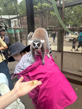 ANIMAL WONDER REZOURT 市原ぞうの国・サユリワールドに投稿された画像（2025/10/12）