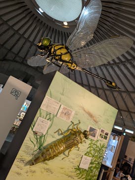 滋賀県立琵琶湖博物館に投稿された画像（2025/10/12）