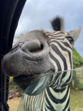 東北サファリパークに投稿された画像（2025/10/12）