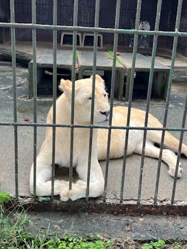 東北サファリパークに投稿された画像（2025/10/12）