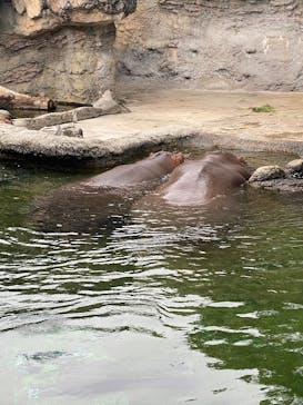 天王寺動物園に投稿された画像（2025/10/12）