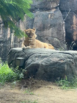 天王寺動物園に投稿された画像（2025/10/12）