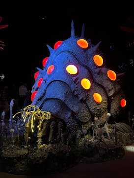 金曜ロードショーとジブリ展（静岡展）に投稿された画像（2025/10/12）