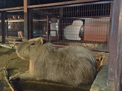 静岡市立日本平動物園に投稿された画像（2025/10/12）