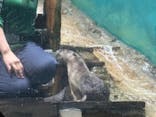 アクアワールド茨城県大洗水族館に投稿された画像（2025/10/12）