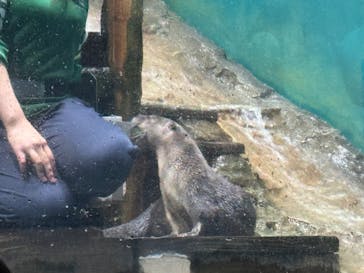 アクアワールド茨城県大洗水族館に投稿された画像（2025/10/12）