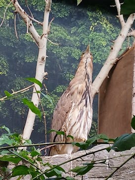 那須どうぶつ王国に投稿された画像（2025/10/12）