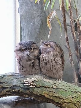 那須どうぶつ王国に投稿された画像（2025/10/12）