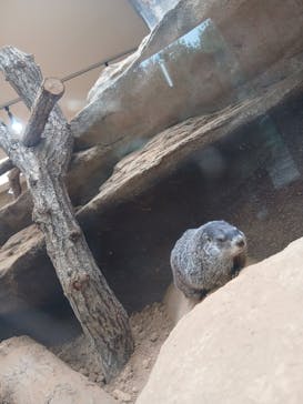 那須どうぶつ王国に投稿された画像（2025/10/12）