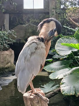 那須どうぶつ王国に投稿された画像（2025/10/12）