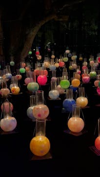 江の島シーキャンドルに投稿された画像（2025/10/12）