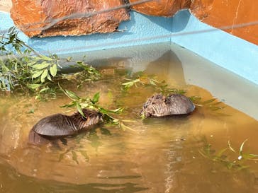 東武動物公園に投稿された画像（2025/10/12）