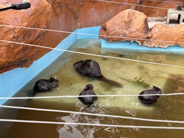 東武動物公園に投稿された画像（2025/10/12）