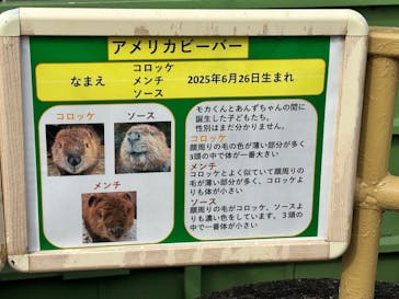 東武動物公園に投稿された画像（2025/10/12）