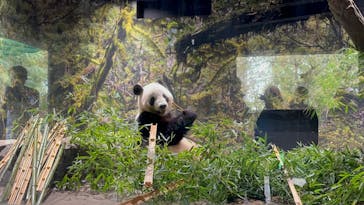 恩賜上野動物園に投稿された画像（2025/10/12）
