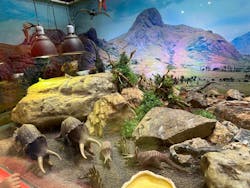 NARA IKIMONO MUSEUMに投稿された画像（2025/10/12）