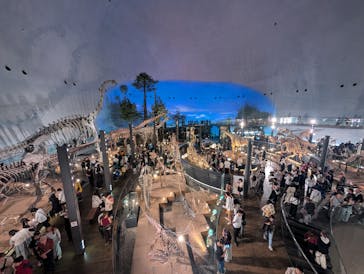 福井県立恐竜博物館に投稿された画像（2025/10/12）