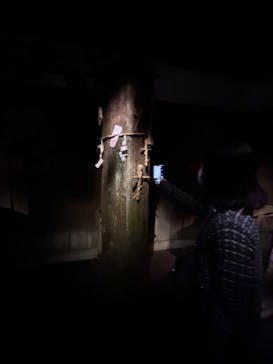 ホラーにふれる展に投稿された画像（2025/10/12）