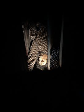 ホラーにふれる展に投稿された画像（2025/10/12）