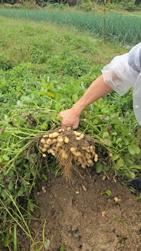 農業公園信貴山のどか村に投稿された画像（2025/10/12）
