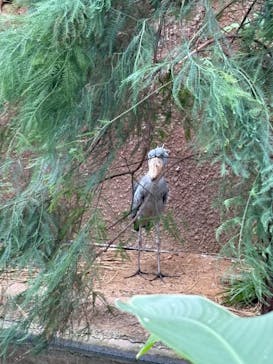 那須どうぶつ王国に投稿された画像（2025/10/12）