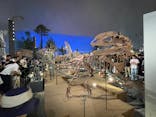 福井県立恐竜博物館に投稿された画像（2025/10/12）