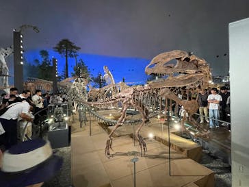 福井県立恐竜博物館に投稿された画像（2025/10/12）