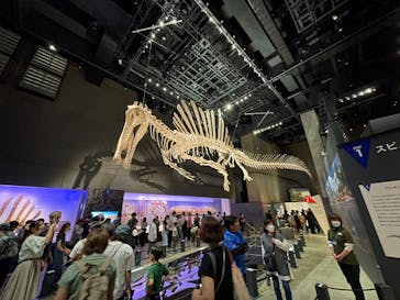 福井県立恐竜博物館に投稿された画像（2025/10/12）